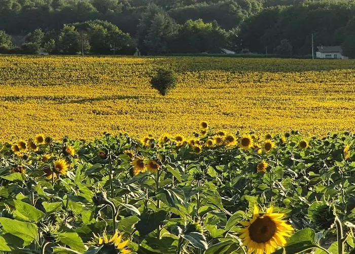 Casa vacanze Charming House In Périgord Saint-Felix-de-Villadeix